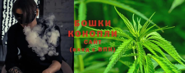 PSILOCYBIN Аркадак