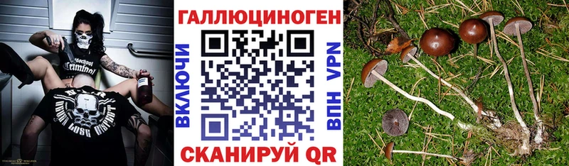 Галлюциногенные грибы GOLDEN TEACHER  Майкоп 