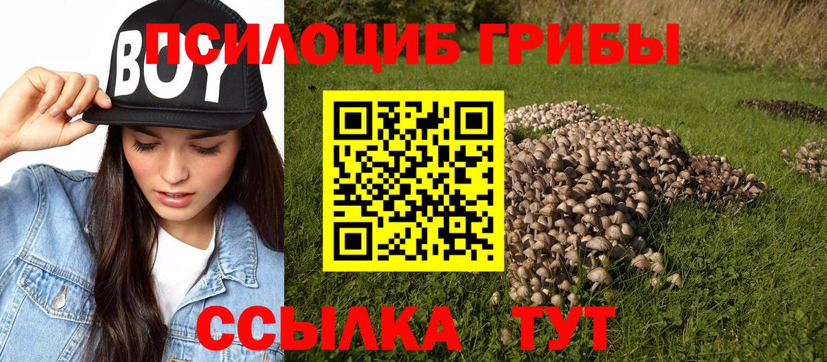 Майкоп  даркнет сайт  Псилоцибиновые грибы мухоморы  Вход с VPN  Псилоцибиновые грибы ЛСД 