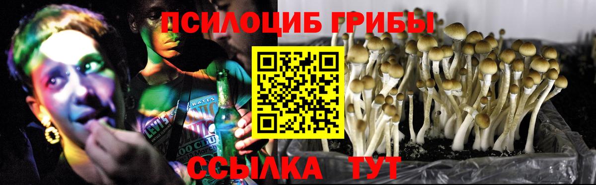 Псилоцибиновые грибы GOLDEN TEACHER Майкоп